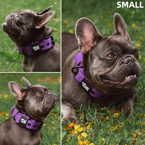 Image of Tuff Pupper Heavy Duty Tactical Dog Collar | 1.25 inch Wide Ballistic Nylon | Reflective Stitching | Integrated ID Tag Holder | Stainless Steel Buckle | Padded Lining | Small & Medium Dogs (Purple, Small)