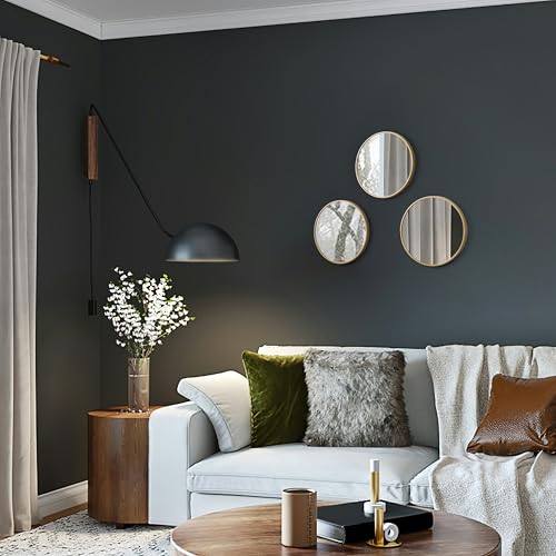 Image of RIZIK STORE Iron Metal Decorative Round Wall Mirror with Hook - HD Clear Glass, Wall Mounted for Bedroom, Living Room, Wash Basin, Vanity, Makeup & Bathroom