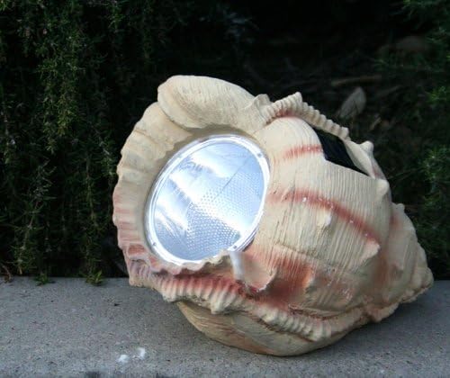 Solar Garden Decor Seashell Spotlight