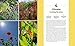 The Regenerative Garden: 80 Practical Projects for Creating a Self-sustaining Garden Ecosystem