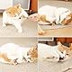 ANMOYIXIA Katzenminze Sticks Kaustangen Katze Katzensticks Katzen Kauhölzer Sticks für Katzen Zahnpflege und Gegen Mundgeruch (3 Stück)