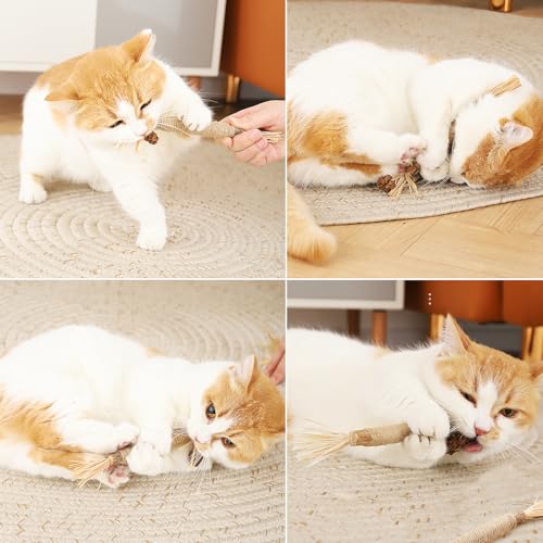 ANMOYIXIA Katzenminze Sticks Kaustangen Katze Katzensticks Katzen Kauhölzer Sticks für Katzen Zahnpflege und Gegen Mundgeruch (3 Stück)