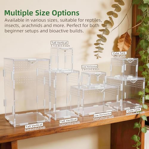 Image of Portable Travel Jumping Spider Enclosure, Acrylic Terrarium for Spider, Magnetic Lock Spider Habitat & Small Terrarium Ventilated for Tarantula,Mantis,Frog,Insect Enclosure cage(5.9x5.9x5.9 Inch)