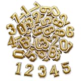 Zlettery 50pcs Iron on Number Patches 1 inch, 5 Sets of 0-9 Embroidered Small Number Patches for Clothing Jackets Hats Backpacks Jeans Gold