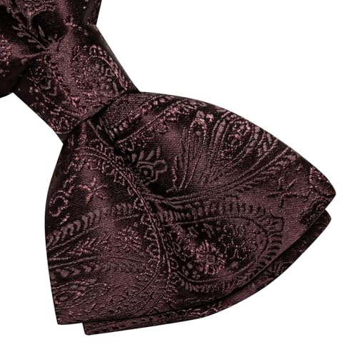 Image of Dubulle Mens Paisley Striped Bowtie Set Pre-tied Bowtie for Men and Pocket Square Set Wedding Business