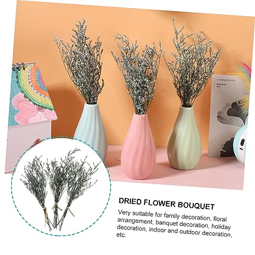 Bouquet pequeño de Gypsophila natural seca para decoración miniatura 2