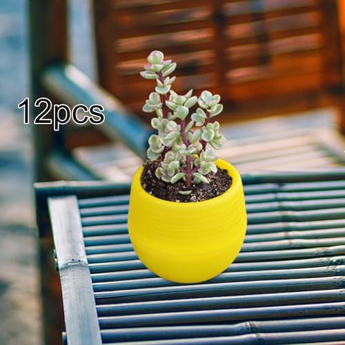 Petits pots de fleurs pour optimiser l'espace de décoration - 7