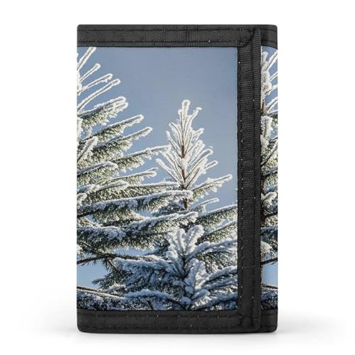 Frost in Winter ���z �X���� �O�܂���z �����̃J�[�h�X���b�g�t�� �N���W�b�g�J�[�h�z���_�[ �|�P�b�g ���K����