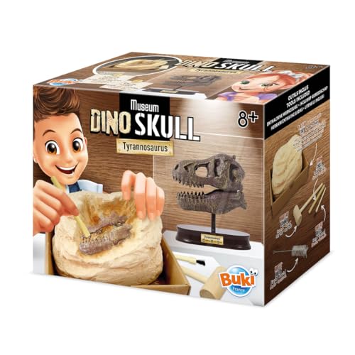 Buki 2130 Museum dino skull t-rex : réplique authentique de crâne de dinosaure pour enfant