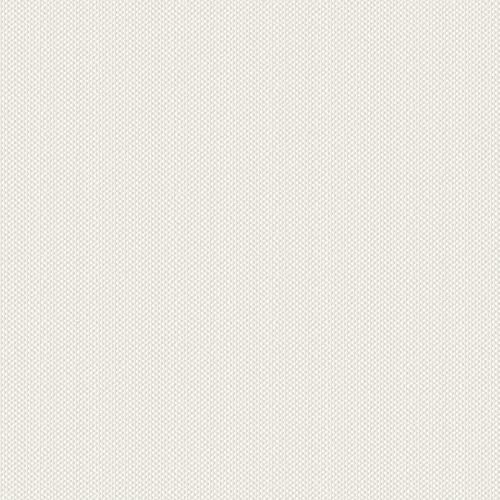 A.S. Création Papel pintado premium de fibra de vidrio 90361 – Papel pintado blanco se puede pintar sobre 25 m x 1 m para 25 m² – Papel pintado de fibra de vidrio grueso – Resistente a golpes y