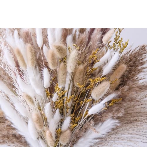 Pampas Grass Large Natural Pampas Bunny Rabbit Tails Dried Bouquet miniatura 6