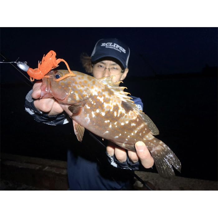 Amazon | エクリプス(Eclipse) アクシアトラック (AXIA TRACK) ロック