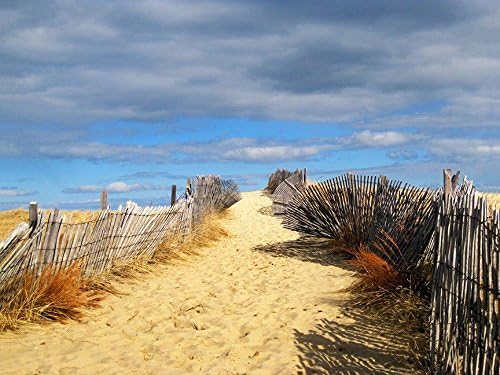 CANVAS Path To The Outer Beach 24x18 GICLEE Art Gallery Wrap by Joseph Condon
