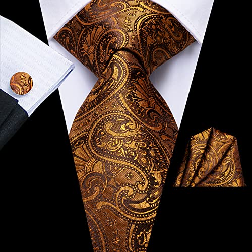 Image of Dubulle Mens Paisley Floral Silk Tie for Men Striped Necktie and Pocket Square Cufflinks Set Wedding Business