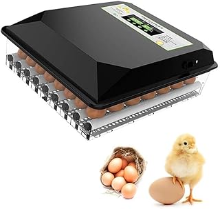 FSJD Incubateur Automatique, 36 Oeufs de contrôle de température de Machine d'éclosion Tournage/humidification Automatique pour Les Poulets Canards