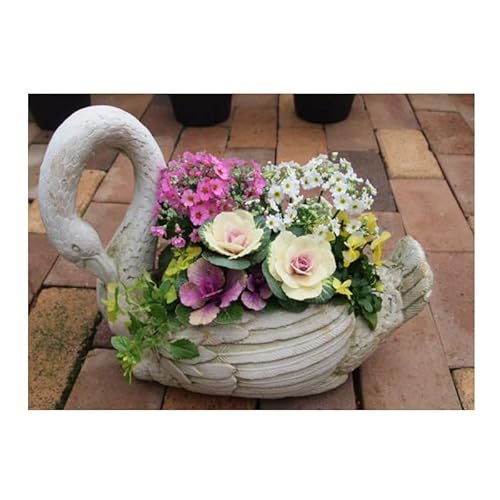 花 寄せ植え 季節のお花 白鳥型鉢 植物 ガーデン インテリア