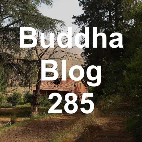 285-Zucker - Buddha Blog - Buddhismus im Alltag
