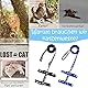 2 Stück Verstellbare Nylon Geschirre Katzenleine,Cat’s Claw Marienkäfer-Print Geschirre Katzenleine Kätzchenhalsband， Weiche Katzengeschirr mit Leine für Kätzchen Welpe Kaninchen Hase