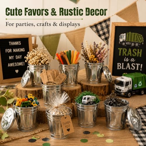 Image of jojofuny 12 Pack Mini Trash Cans with Lids, 3.7 Inch Silver Metal Garbage Can Favor Buckets, Small Desktop Bins for Trash Truck Birthday Party, Office Desk, Craft Storage, Pen Holder, Mini Planter