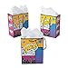 Small Superhero Girl Gift Bags - 12 ct by Party Favors