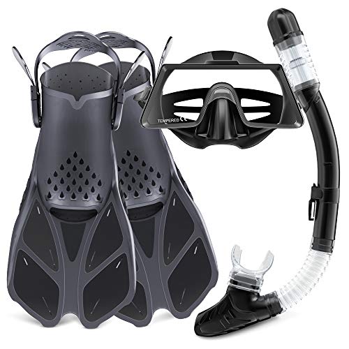 Snorkel SetÂ Adult,Snorkeling Set with Panoramic Snorkel Mask Diving Goggles,Dry Top Snorkel and Adjustable Fins,Scuba Diving Snorkeling MaskÂ for Men Women