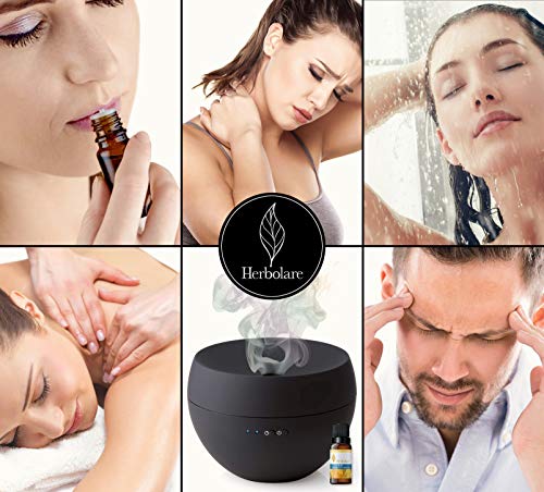 La Mejor Selección de Aceite de eucalipto precio del mes. 21 Imagen adicional