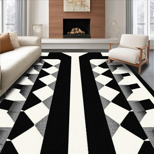 ODIKA Flatwoven High Traffic Area Rug 5x7, Chic Geometric Flare