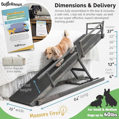 DoggoRamp Bed Ramp