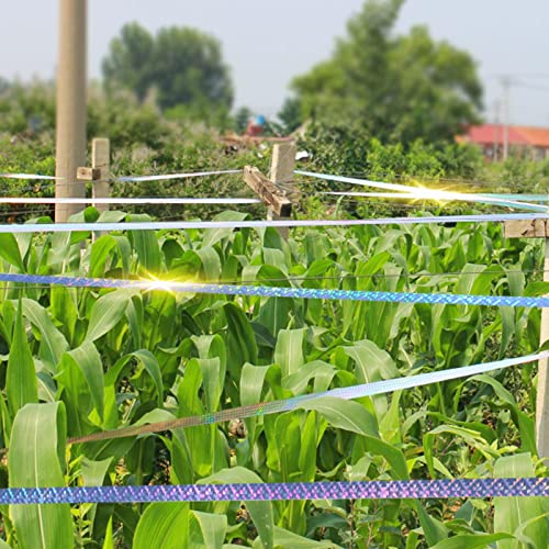 Pássaro fita reflexiva, Bird Drive Away Devices Double Si, Fita reflexiva para assustar, fita reflex