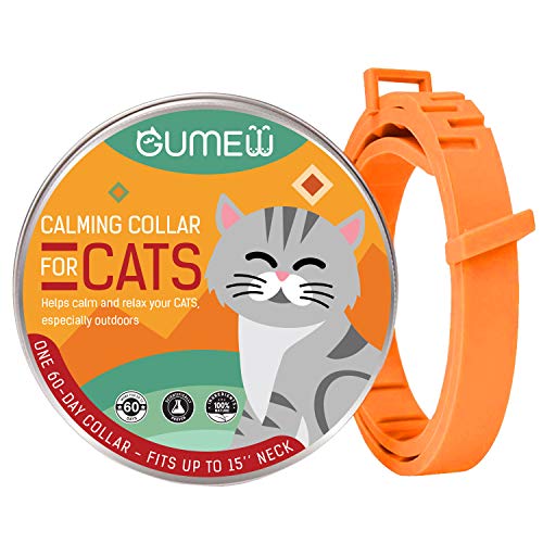 The 25 Best Cat Calming Collars of 2020 Cat Life Today