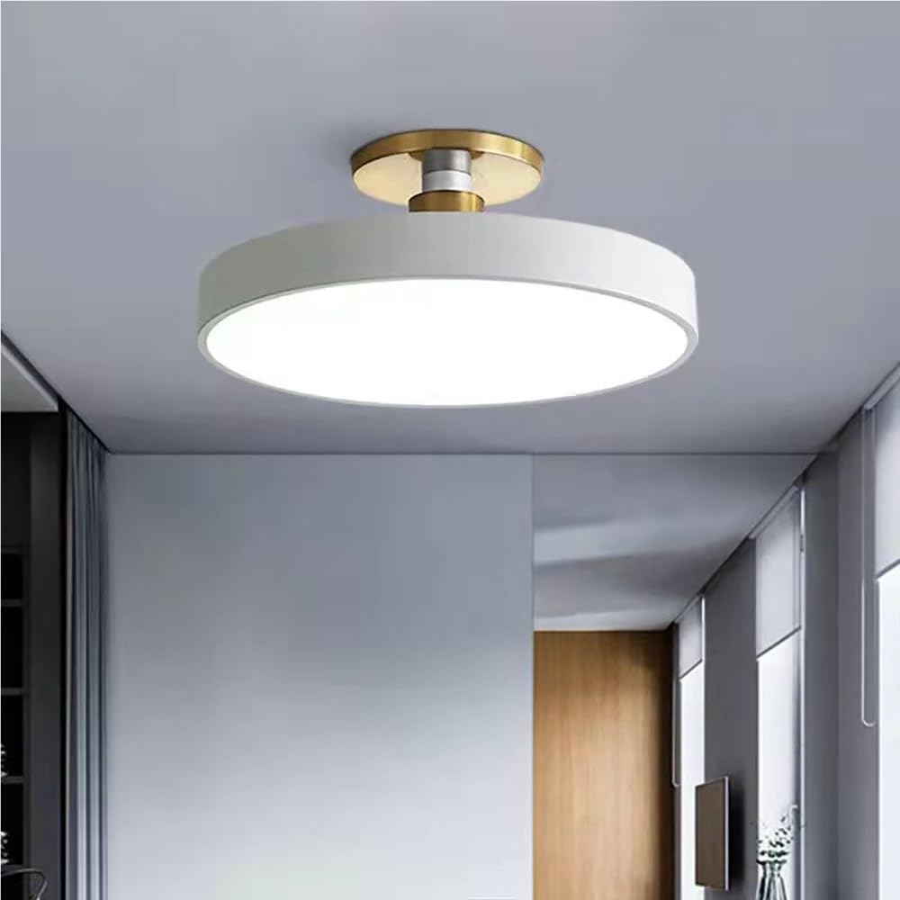 Nowoczesna Okrągła Lampy Sufitowa LED, Ultra Cienka Półprzestrzenna Lampy Sufitowe Minimalistyczna Ściemnialna do Sypialni Korytarza Przedpokoju(White(3 modes),30cm/11.81in)