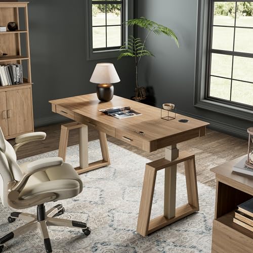 EUREKA ERGONOMIC Ark EL 60x26 Electric Standing Desk with 3 Drawers and Memory Controller for Home Office