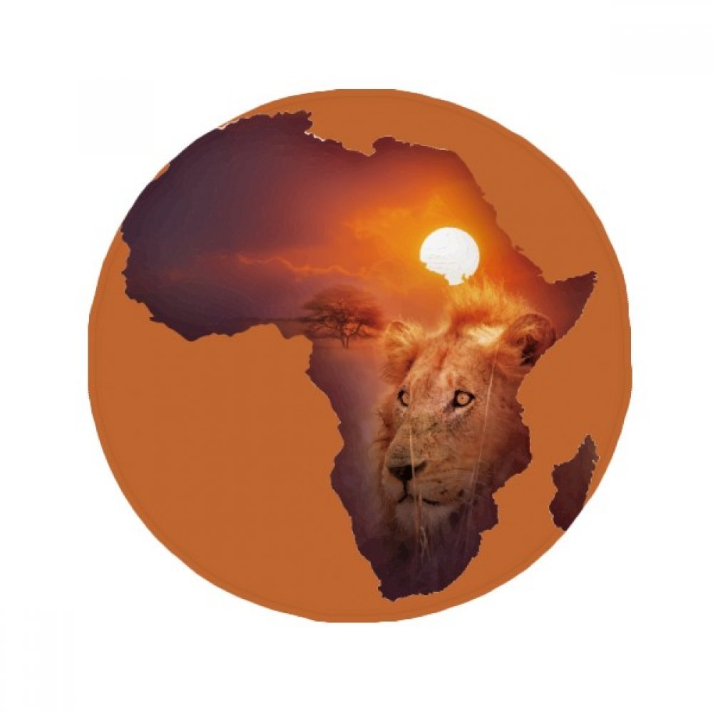 Tapis anti-slip lion prairie africaine pour sol glissant cuisine salon