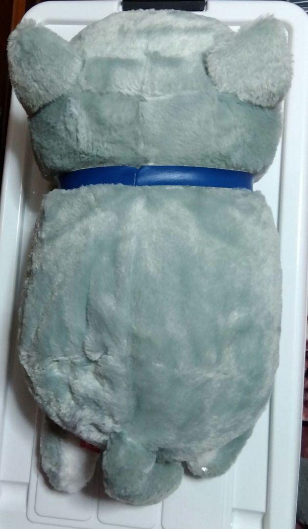 Amazon.co.jp: ぶちゃねこさん 集い BIG ごま ぬいぐるみ 猫 : おもちゃ 