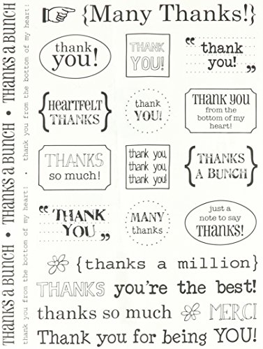 SRM Stickers Sticker Sentiment Thank You