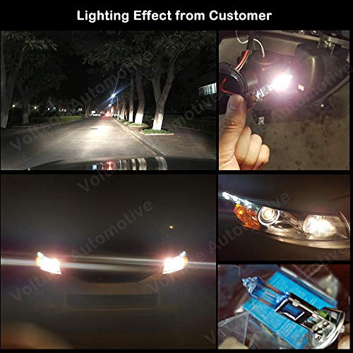 Voltage Automotive 9003 Hb2 Headlight Bulb Blue Eagle 40 Percent Brighter Professional Upgrade (Pair) - Replacement For High Low Beam Driving Light #TOP6