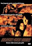 Black Cat Run