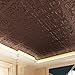 Art3dwallpanels 12 Pack Drop Ceiling Tiles, 24 x 24 Inch High Grade PVC 3D Wall Panels Vintage Flower Pattern for Interior Wall Decor, Fire Rated, Waterproof, Antique Copper