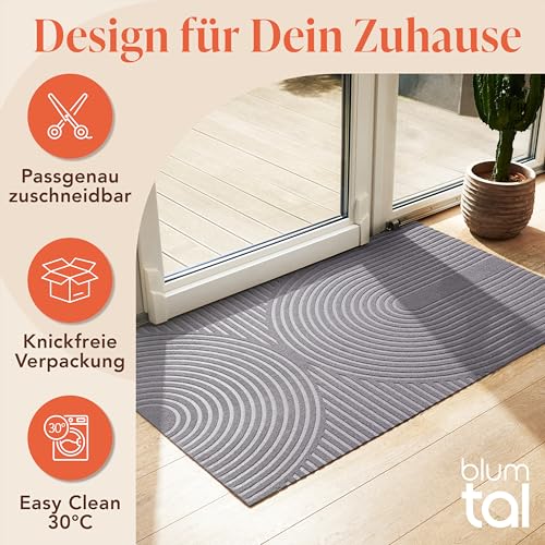 Blumtal Fußmatte 40x60 cm - rutschfeste Schmutzfangmatte - Fußabtreter mit Muster - Fußmatten Haustür - Türmatte aus Polyester - Fußmatte innen/Schmutzfangmatte außen/Türvorleger Hellgrau