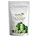Jugo de Hierba de Trigo en Polvo Eco Salud Viva 100 g – Complemento alimenticio ecológico, sabor vegetal suave, ideal para batidos y zumos, fácil de mezclar, formato polvo
