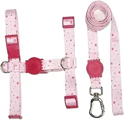 Coleira Peitoral H Anti - puxão para cachorro com Guia e trava de segurança(Rosa BB Estrelinha,P)