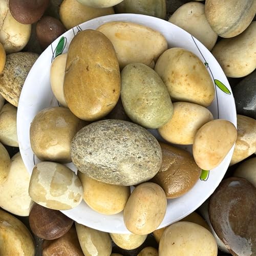 Image of Foodie Puppies River Rocks Natural Multicolour Stones - (Small Monster - 2Kg) (3cm - 5cm) for Aquarium /Fish Tank, Painting, DIY, Arts, Crafts, Home Decoration, Garden, and Swimming Pool