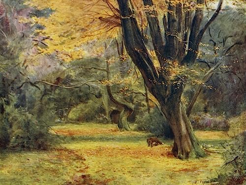 Tableau Toile les érables de la nouvelle forêt affiche art 60x90