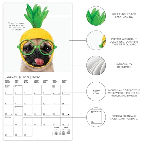 Graphique Pawparazzi Wall Calendar - 16-Month 2023 Calendar, 12"X12" W/ 3 Languages, 4-Month Preview, & Marked Holidays… #TOP2