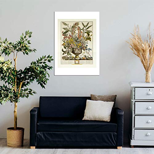 Roberty Furber Grande Affiche d'Archivage Mate Janvier 12 Mois de Fleurs Spiffing Prints - 2