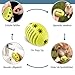 Homes&Bones Doggy Egg Hundespielzeug befüllbar aus Naturkautschuk zur Hundebeschäftigung als Futterball & Intelligenzspielzeug für mittlere bis große Hunde grün