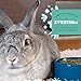 Oxbow Essentials Rabbit Food, Young Rabbit, Made with Oxbow Alfalfa Hay, Pet Food Pellets with Vitamins & Minerals, Small Animal Pet Products, Bunny Supplies, Made in USA, High Fiber, 5 lb. bag