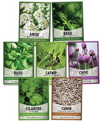Gardeners Basics, 15 Herb Seeds for Planting Varieties Heirloom Non-GMO 5200+ Seeds Indoors, Hydroponics, Outdoors - Basil, Catnip, Chive, Cilantro, Oregano, Parsley, Peppermint, Rosemary and More - Image 7