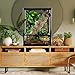REPTI ZOO 30 Gallon Reptile Glass Terrarium, 18