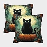 Gato Negro Fundas Cojines Antialérgicas 2 Piezas, Funda De Almohada Poliéster Cuadradas para Sofá Cama Coche Hogar 40x40cm